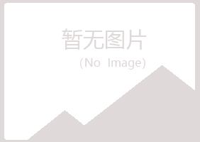 天水夏岚采矿有限公司